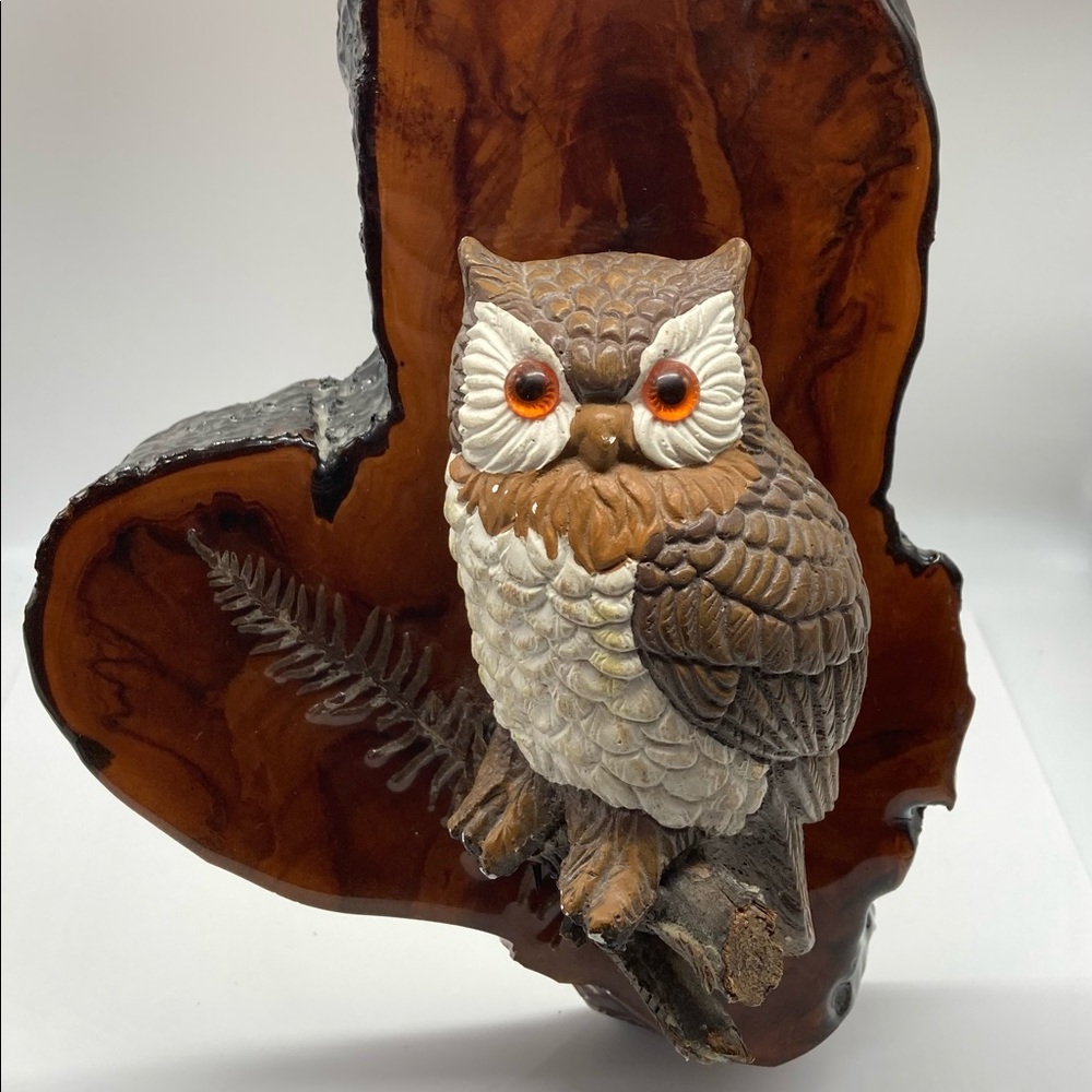 Vintage Owl Perched On Branch Glossy Wood Wall Hanging/Decor